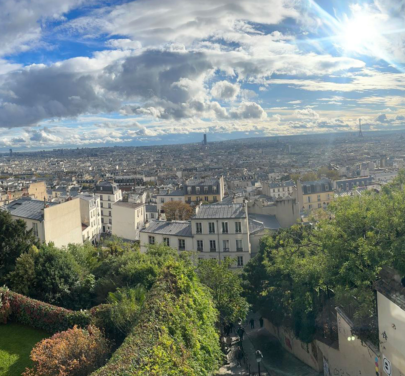 Paris Paysage - Jardier, paysagiste, création de terrasse, entretien de jardin à Paris 75008