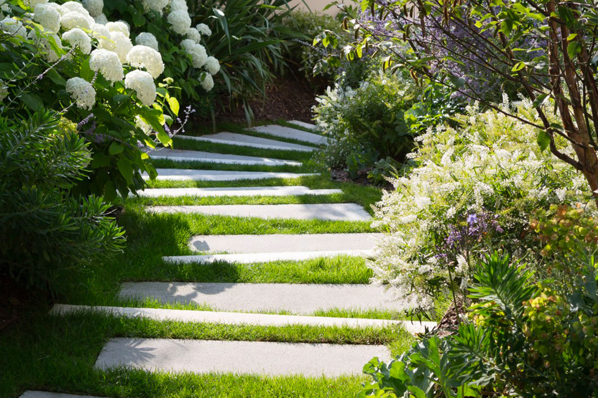 Paris Paysage - paysagiste, aménagement de jardin, création de terrasse, contrat hôtellerie, contrat restauration à Paris