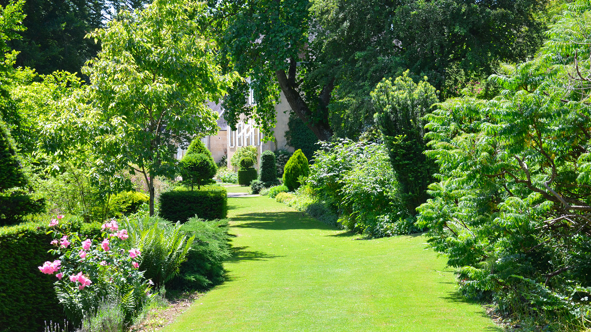 Aménagement et création de jardin à Paris