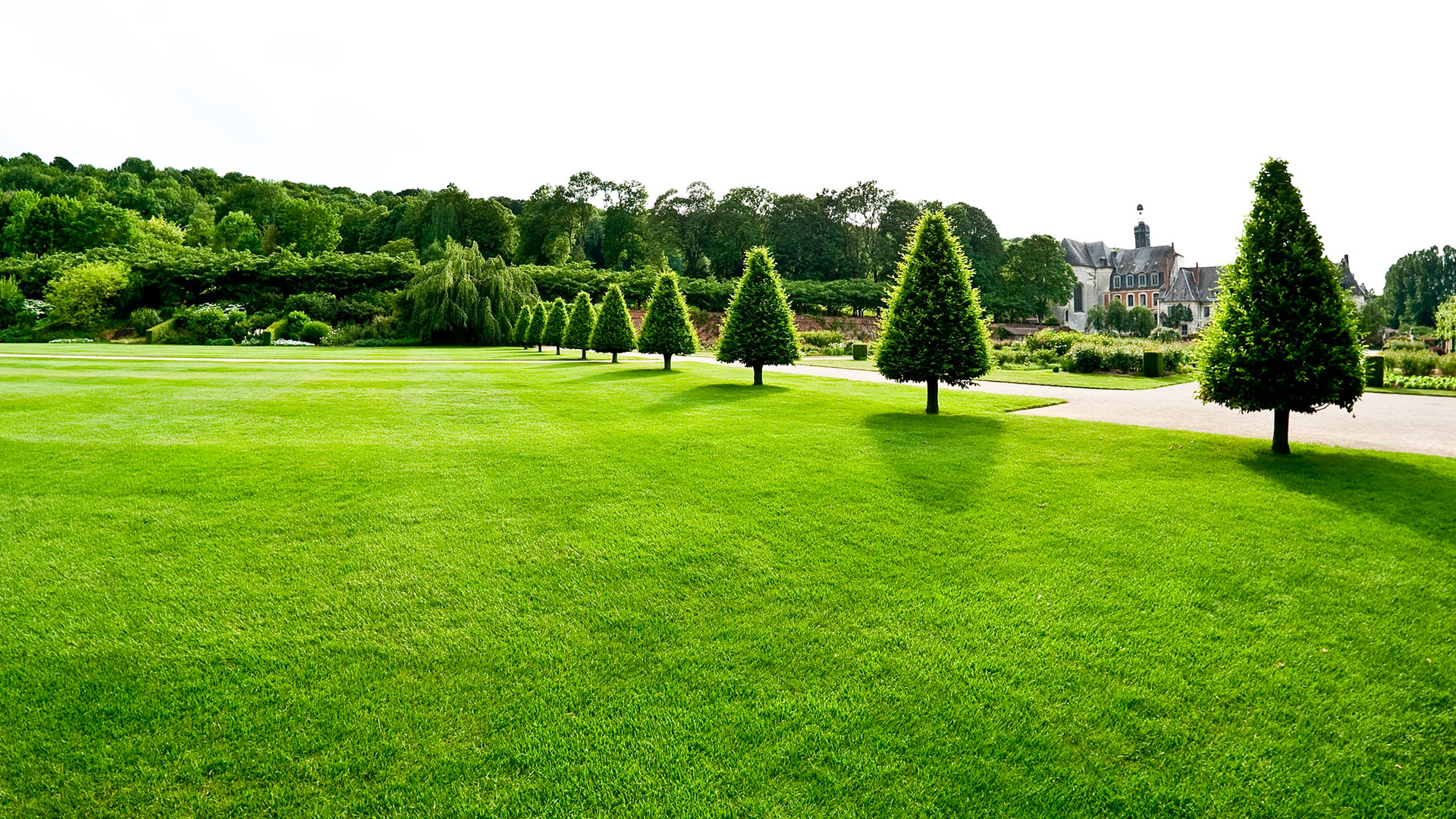 Entretien de jardin à Paris et en Île-de-France