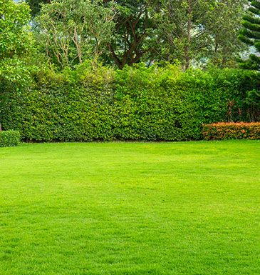 Paris Paysage - Paysagiste à Paris 8, aménagement extérieur et entretien de jardin