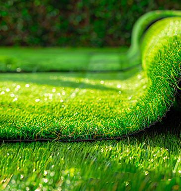 Paris Paysage - Pose de pelouse et gazon à Paris 8
