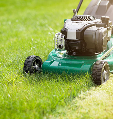 Paris Paysage - Tonte de gazon et pelouse à Paris 8